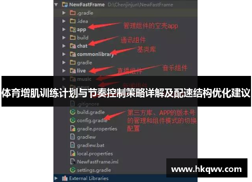 体育增肌训练计划与节奏控制策略详解及配速结构优化建议